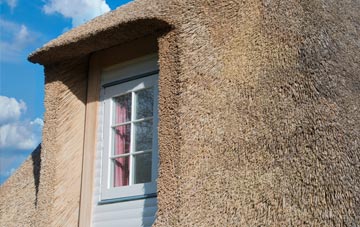 Chawson thatch roof disadvantages